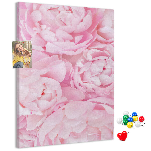Bacheca di sughero con stampa di delicate peonie rosa in piena fioritura