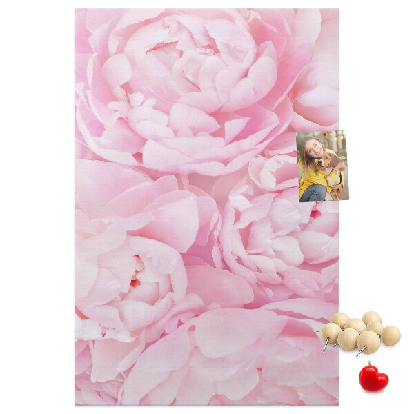 Bacheca di sughero con stampa di delicate peonie rosa in piena fioritura