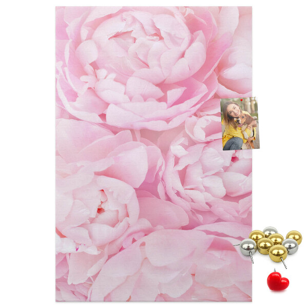 Bacheca di sughero con stampa di delicate peonie rosa in piena fioritura