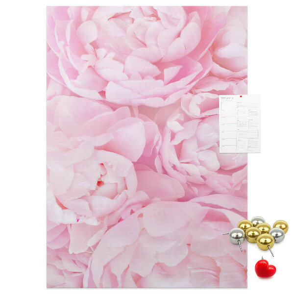 Bacheca di sughero con stampa di delicate peonie rosa in piena fioritura