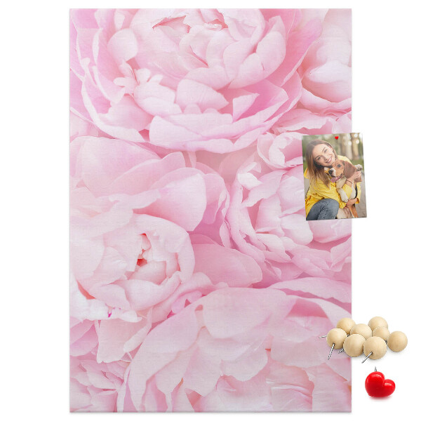 Bacheca di sughero con stampa di delicate peonie rosa in piena fioritura