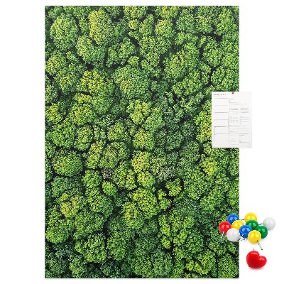 Bacheca di sughero con stampa foresta verde vista dall'alto