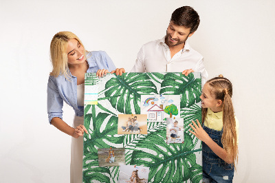 Bacheca di sughero con stampa di foglie di Monstera su sfondo chiaro