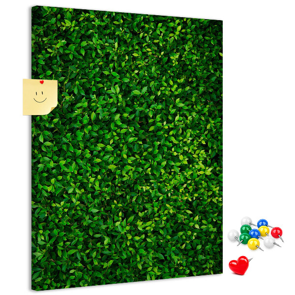 Bacheca di sughero con rivestimento verde folto effetto foglie