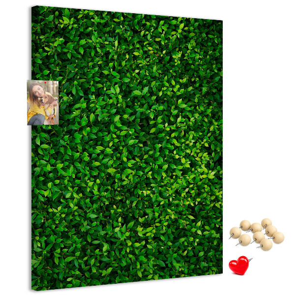 Bacheca di sughero con rivestimento verde folto effetto foglie