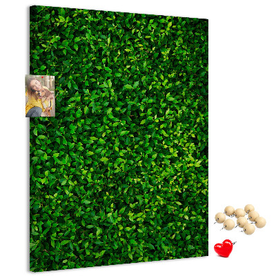 Bacheca di sughero con rivestimento verde folto effetto foglie