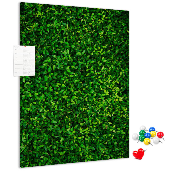 Bacheca di sughero con rivestimento verde folto effetto foglie
