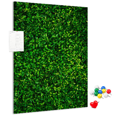 Bacheca di sughero con rivestimento verde folto effetto foglie