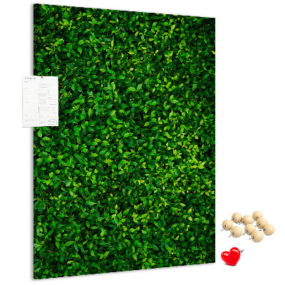 Bacheca di sughero con rivestimento verde folto effetto foglie