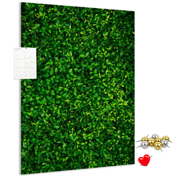 Bacheca di sughero con rivestimento verde folto effetto foglie