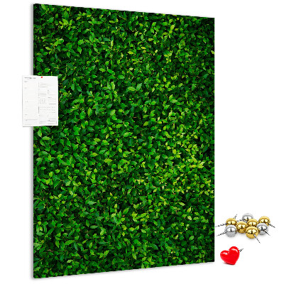 Bacheca di sughero con rivestimento verde folto effetto foglie