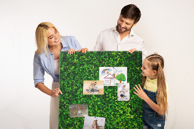 Bacheca di sughero con rivestimento verde folto effetto foglie