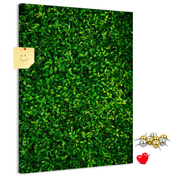 Bacheca di sughero con rivestimento verde folto effetto foglie