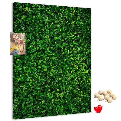 Bacheca di sughero con rivestimento verde folto effetto foglie