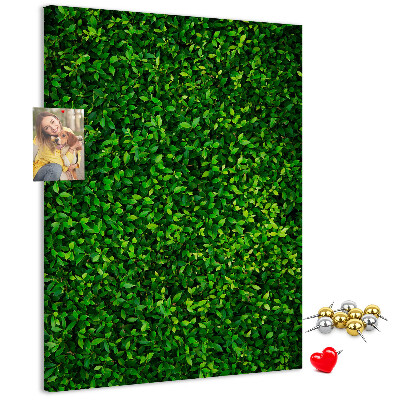Bacheca di sughero con rivestimento verde folto effetto foglie