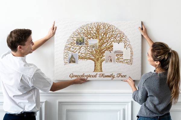 Bacheca in sughero con design ad albero genealogico