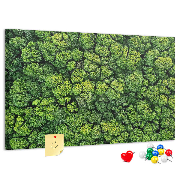 Lavagna di sughero con stampa di foresta verde dalla vegetazione fitta