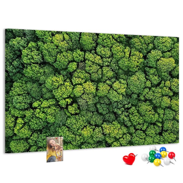 Lavagna di sughero con stampa di foresta verde dalla vegetazione fitta