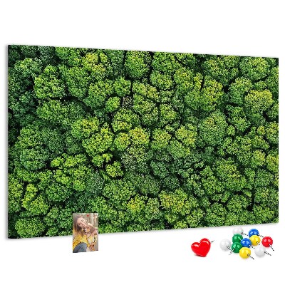 Lavagna di sughero con stampa di foresta verde dalla vegetazione fitta