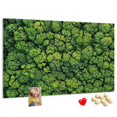 Lavagna di sughero con stampa di foresta verde dalla vegetazione fitta