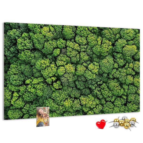 Lavagna di sughero con stampa di foresta verde dalla vegetazione fitta