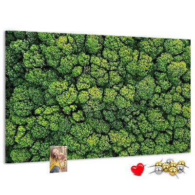 Lavagna di sughero con stampa di foresta verde dalla vegetazione fitta