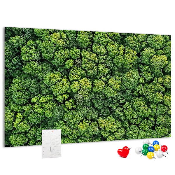 Lavagna di sughero con stampa di foresta verde dalla vegetazione fitta