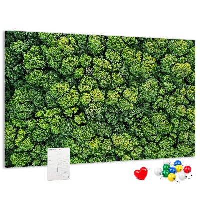 Lavagna di sughero con stampa di foresta verde dalla vegetazione fitta