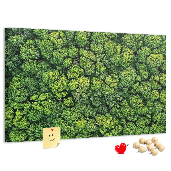 Lavagna di sughero con stampa di foresta verde dalla vegetazione fitta