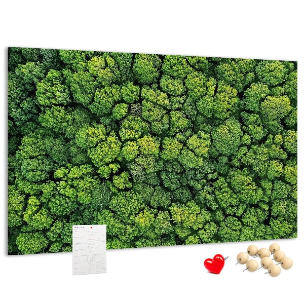 Lavagna di sughero con stampa di foresta verde dalla vegetazione fitta