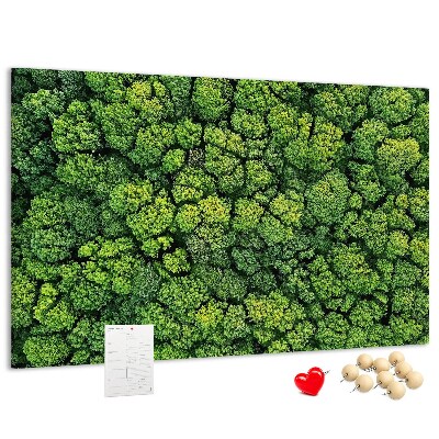 Lavagna di sughero con stampa di foresta verde dalla vegetazione fitta