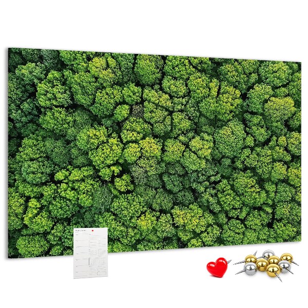 Lavagna di sughero con stampa di foresta verde dalla vegetazione fitta