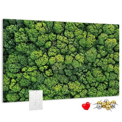 Lavagna di sughero con stampa di foresta verde dalla vegetazione fitta