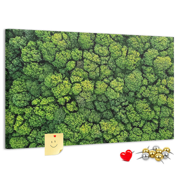 Lavagna di sughero con stampa di foresta verde dalla vegetazione fitta