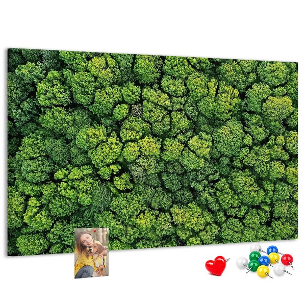 Lavagna di sughero con stampa di foresta verde dalla vegetazione fitta