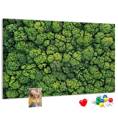 Lavagna di sughero con stampa di foresta verde dalla vegetazione fitta
