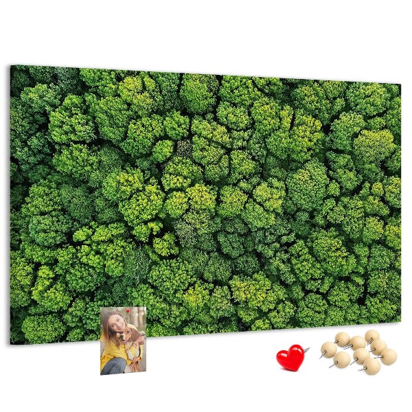 Lavagna di sughero con stampa di foresta verde dalla vegetazione fitta