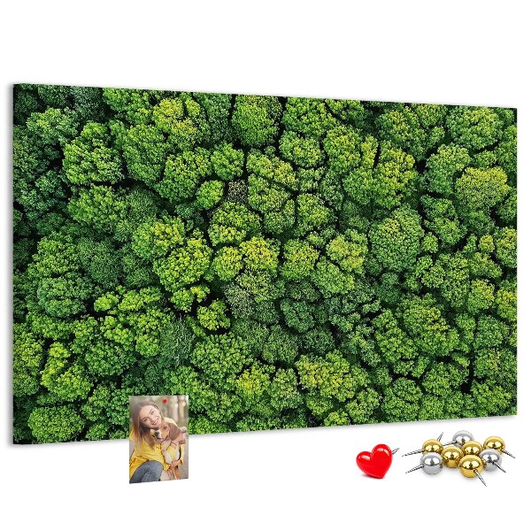 Lavagna di sughero con stampa di foresta verde dalla vegetazione fitta