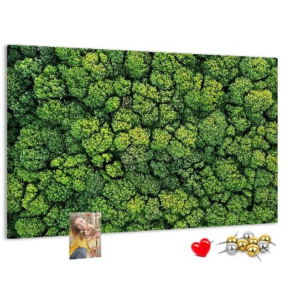 Lavagna di sughero con stampa di foresta verde dalla vegetazione fitta