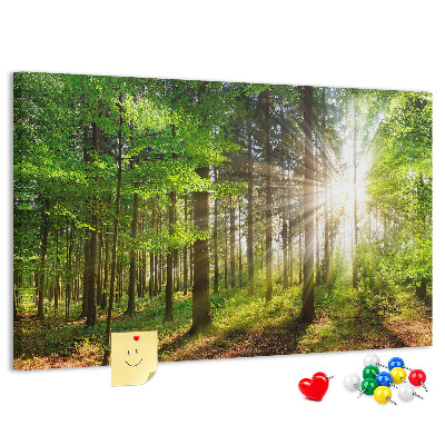 Bacheca in sughero decorata con motivo foresta verde