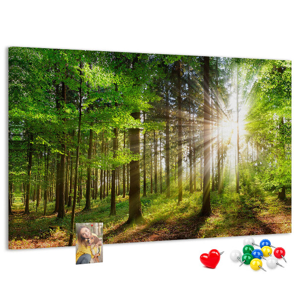 Bacheca in sughero decorata con motivo foresta verde