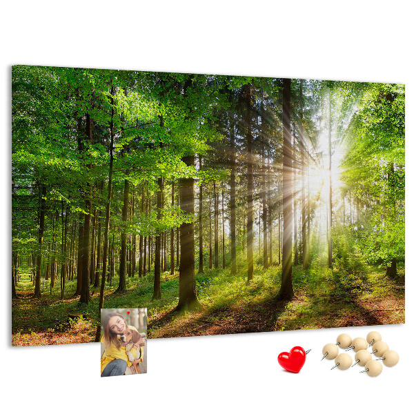 Bacheca in sughero decorata con motivo foresta verde
