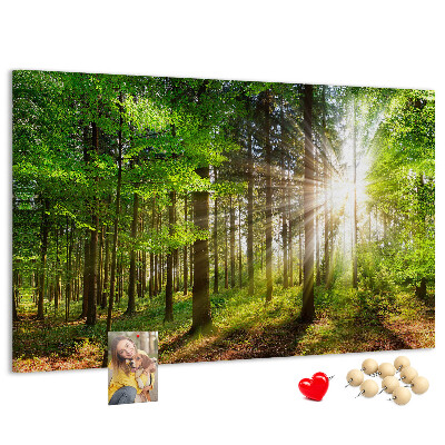 Bacheca in sughero decorata con motivo foresta verde