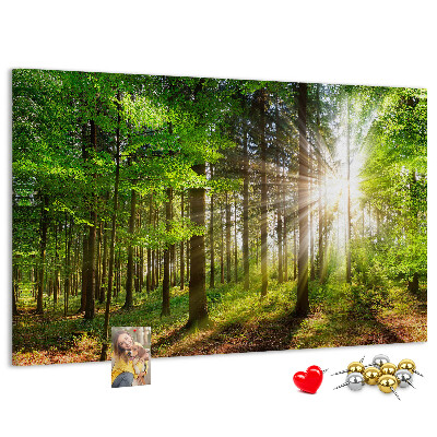 Bacheca in sughero decorata con motivo foresta verde