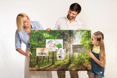 Bacheca in sughero decorata con motivo foresta verde