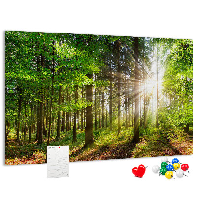 Bacheca in sughero decorata con motivo foresta verde