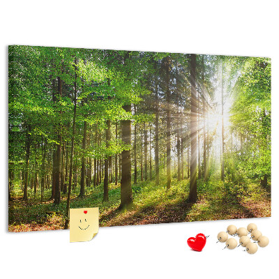 Bacheca in sughero decorata con motivo foresta verde