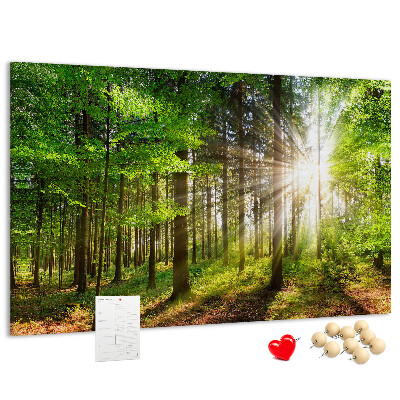 Bacheca in sughero decorata con motivo foresta verde