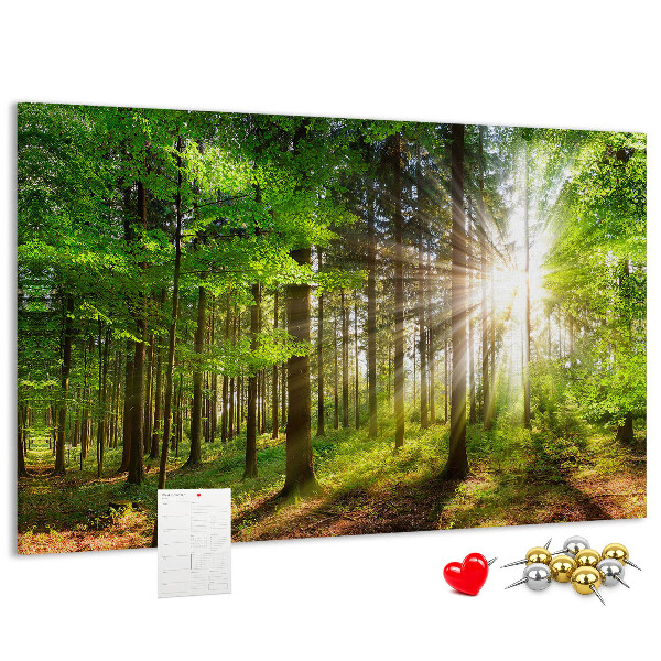 Bacheca in sughero decorata con motivo foresta verde