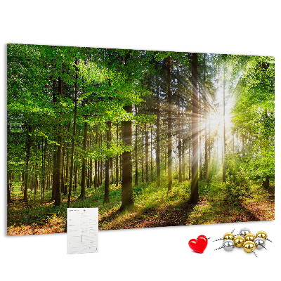 Bacheca in sughero decorata con motivo foresta verde